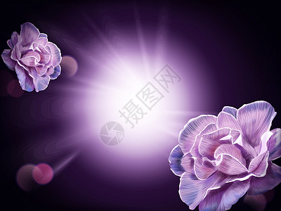 紫色化妆品背景图片