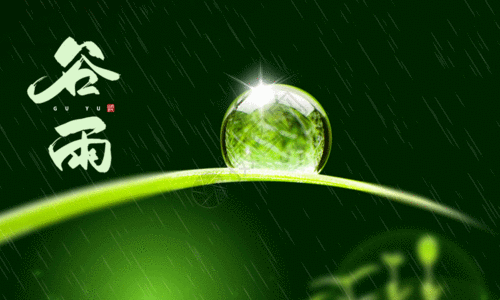 绿色清新谷雨节气海报GIF图片