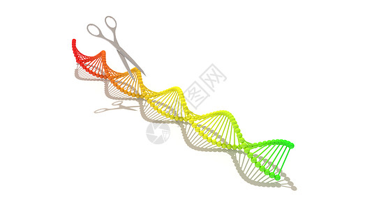DNA基因链图片