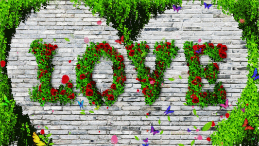 中国风背景墙唯美的爱情鲜花背景墙GIF高清图片