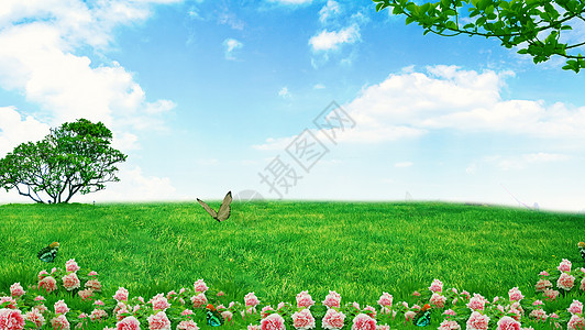 玫瑰草草地天空背景设计图片