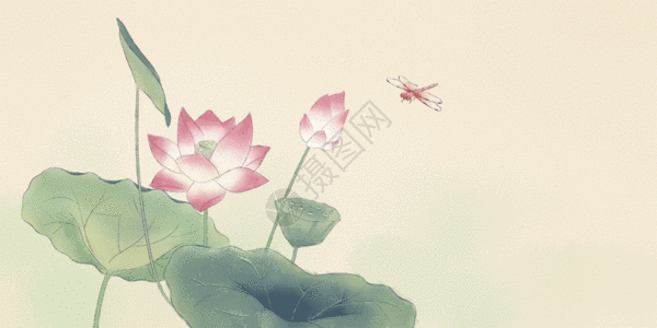 夏天水墨荷花gif图片素材