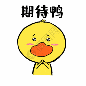 呆萌燕子表情期待鸭可爱小黄鸭表情GIF高清图片