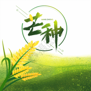 水稻芒种插画gif动图图片素材