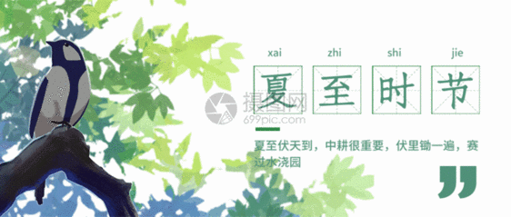 二十四节气夏至公众号封面gif动图图片