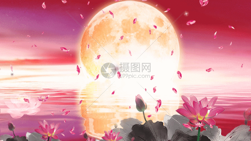 月亮水面荷花荷塘月色背景图gif动图图片 正版gif素材401756275 摄图网