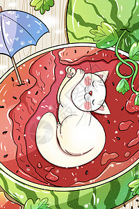 大暑吃西瓜的猫咪图片