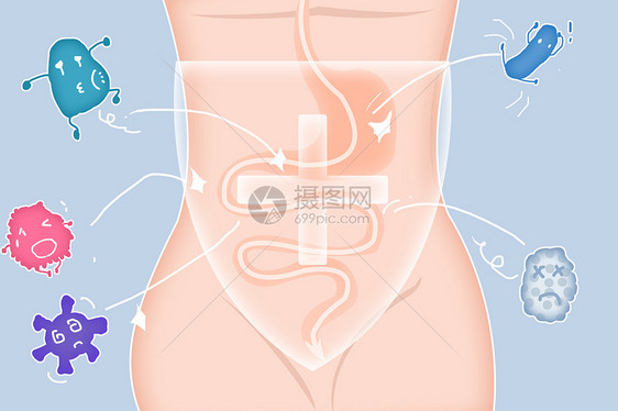 肠道健康赶走病菌图片