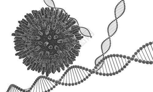病毒与基因图片