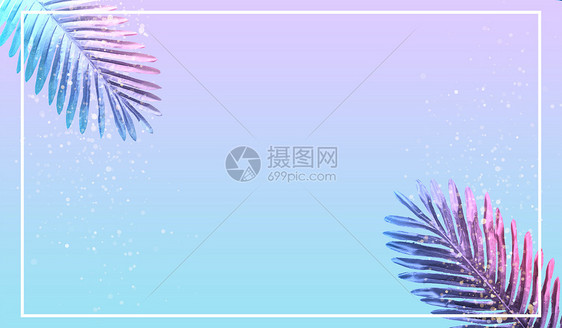 夏日渐变树叶图片