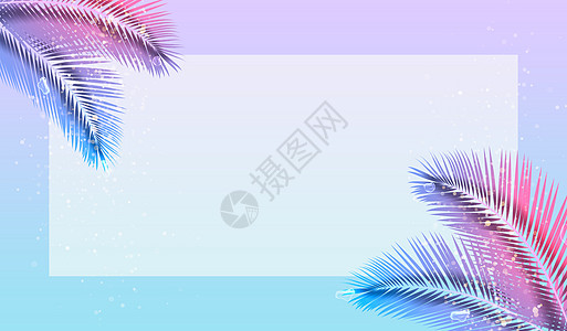 夏日渐变树叶图片