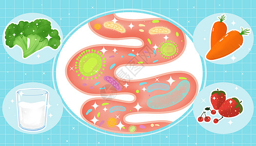 肠道健康减肥菌高清图片