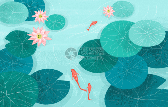 夏天荷花池塘鲤鱼插画GIF图片