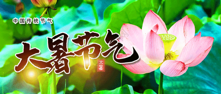 免费下载         收藏成功 vrf高清图片 大暑节气微信公众号封面gif