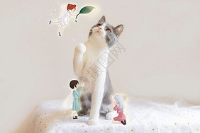 英短猫蓝白猫宠物猫与花仙子插画图片下载 正版图片 摄图网