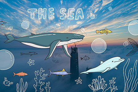 夏天云海世界鲸鱼海豚高清图片