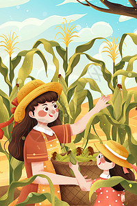 秋季丰收摘玉米插画图片