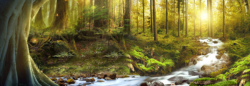 风景世界名画梦幻森林场景设计图片