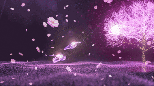 534_300gif 动态图 动图