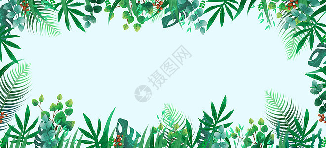 龟背叶枝叶叶子清新素材背景图片