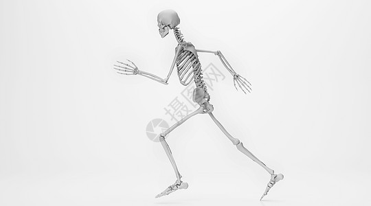 人体骨图片 人体骨图片大全 人体骨背景图片