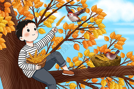 秋分三候男孩坐在树上给小鸟喂食插画