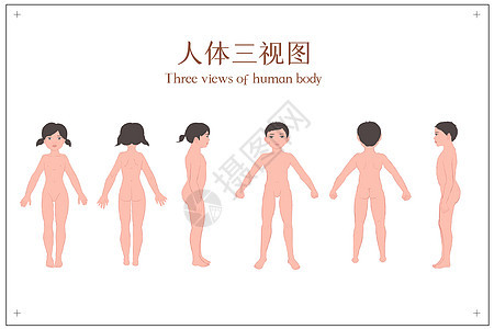 儿童人体三视图展示图片