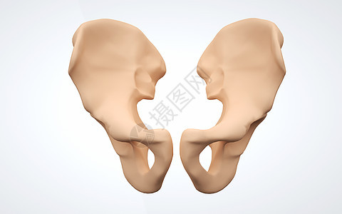 人体下肢髋骨背景图片