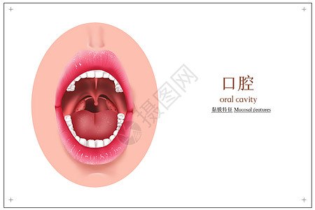 医疗口腔插画图片