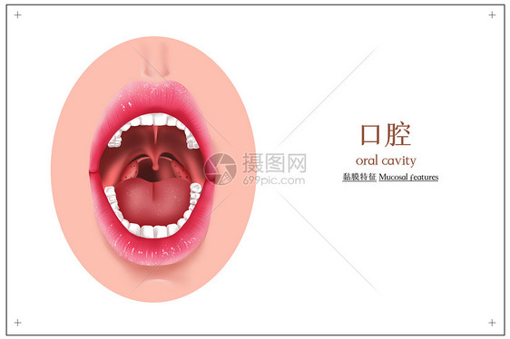 医疗口腔插画图片