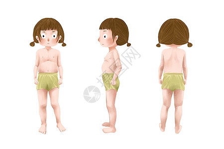 儿童人体结构三视图图片