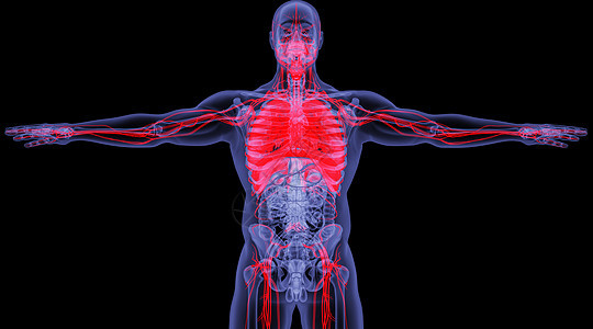 X光人体呼吸系统场景图片