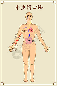手少阴心经及穴位高清图片