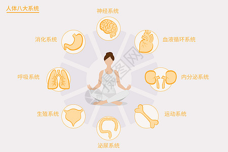 车载系统医疗健康人体八大系统矢量插画插画