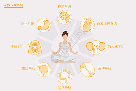 医疗健康人体八大系统矢量插画图片