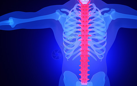 X光人体脊椎背景图片