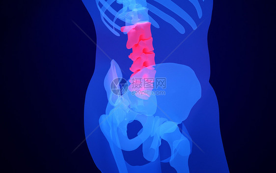 人体腰椎骨图片