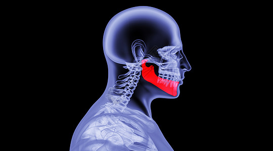 人体下颚骨场景设计图片