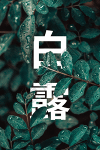 白露字体白露节气GIF高清图片