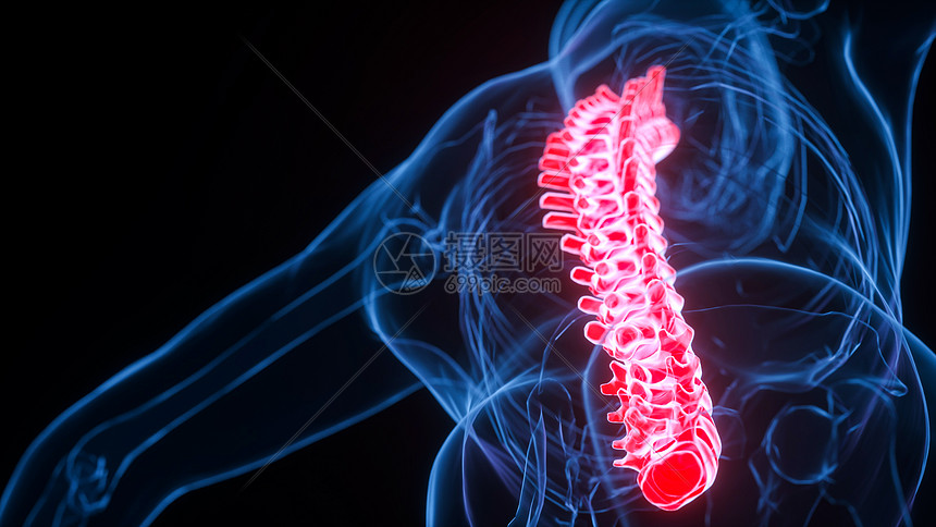 3D脊柱场景图片