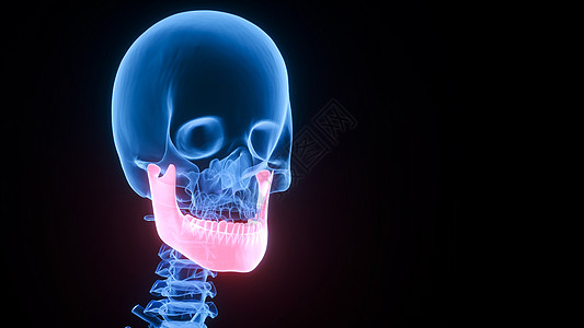 3D下颌骨场景设计图片