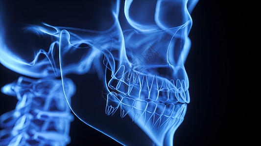 3D下颚骨场景设计图片