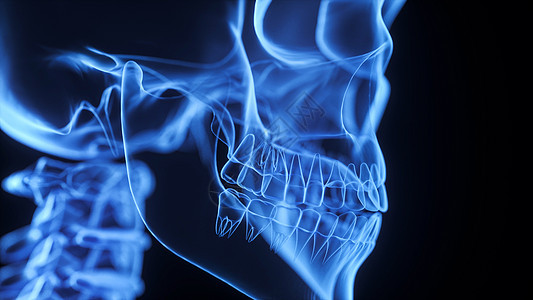 3D下颚骨场景背景图片