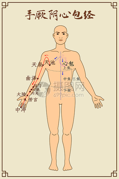 手厥阴心包经及穴位图片