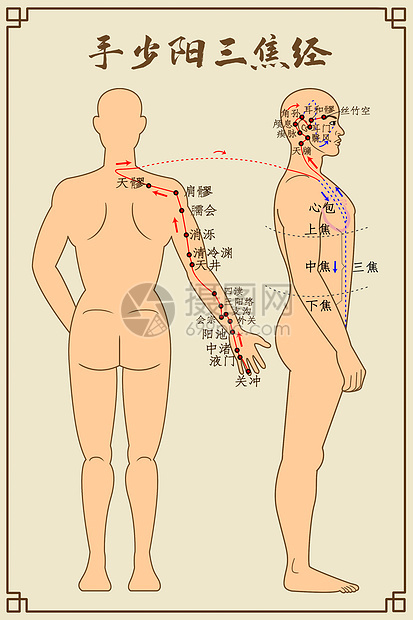 手少阳三焦经及穴位图片