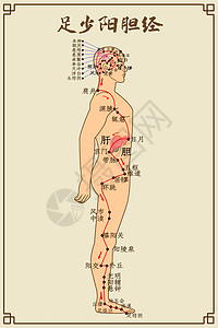 足少阳胆经及穴位背景图片