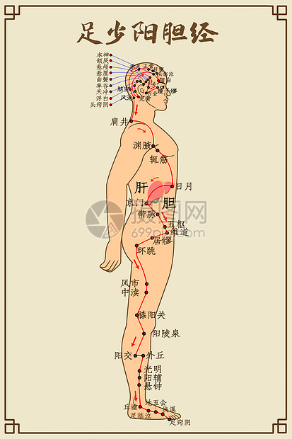 足少阳胆经及穴位图片