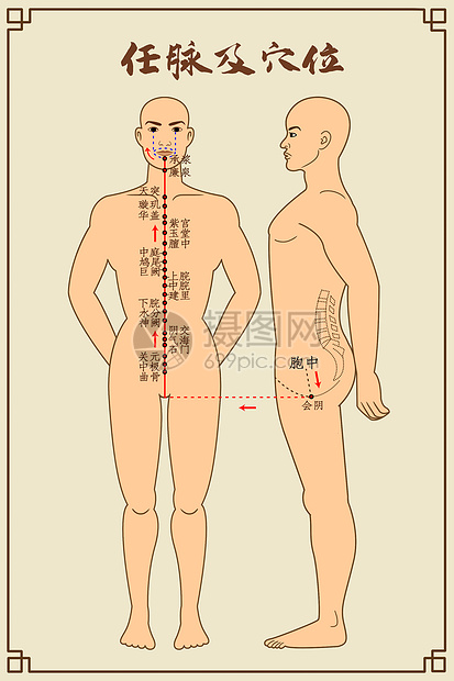 任脉及穴位中医经络图图片