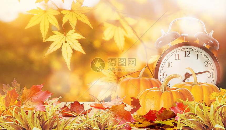 秋天背景图片素材 正版创意图片 摄图网