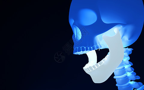 下颚骨结构背景图片